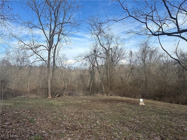 view of nature with a forest view