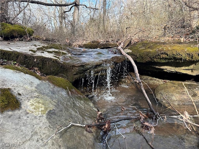 view of local wilderness