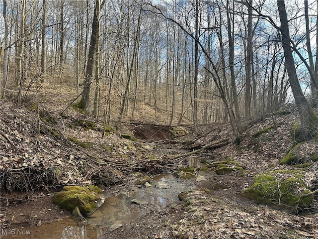 view of local wilderness featuring a forest view