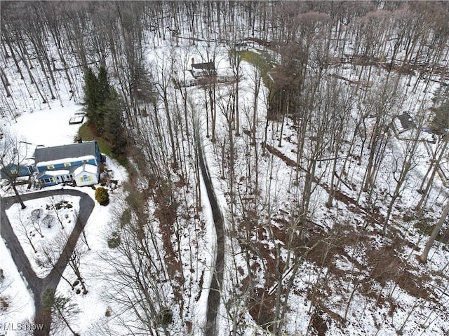 view of snowy aerial view