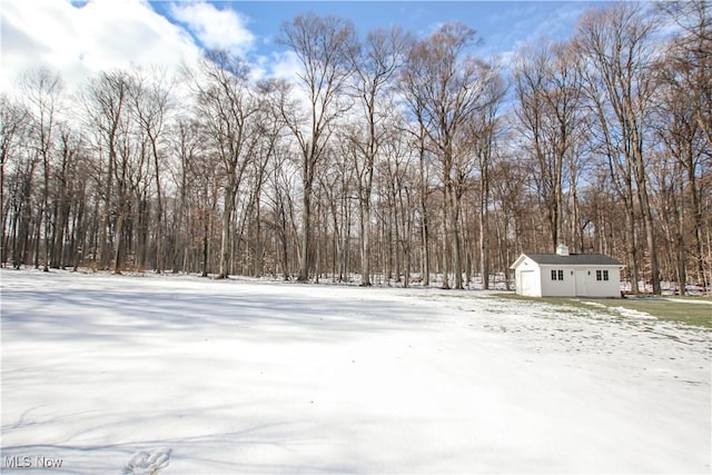 yard covered in snow featuring a garage