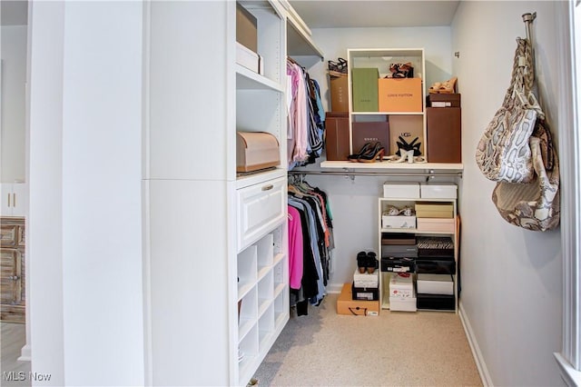 spacious closet featuring light colored carpet