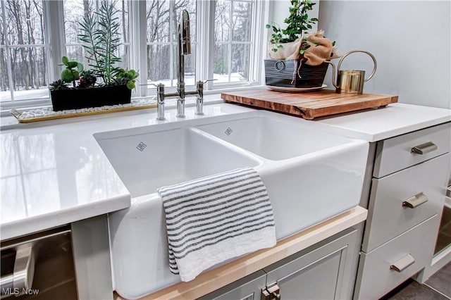 interior details featuring light countertops and a sink