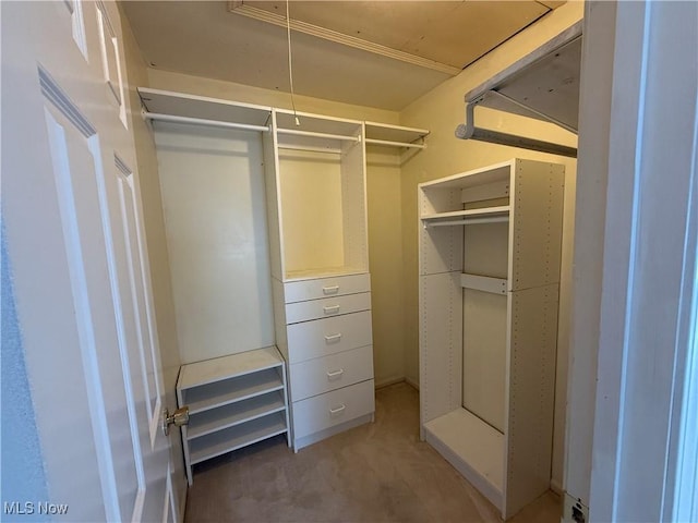 spacious closet with attic access