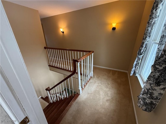 staircase featuring carpet and baseboards