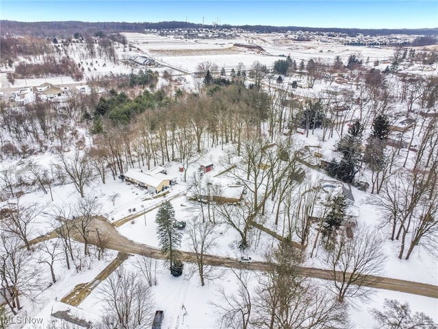 view of snowy aerial view