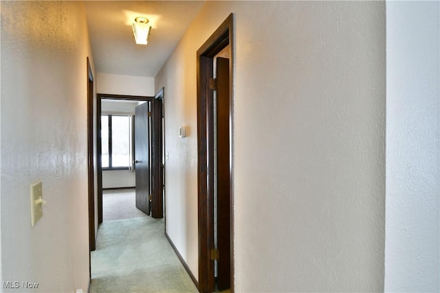 hall with light colored carpet