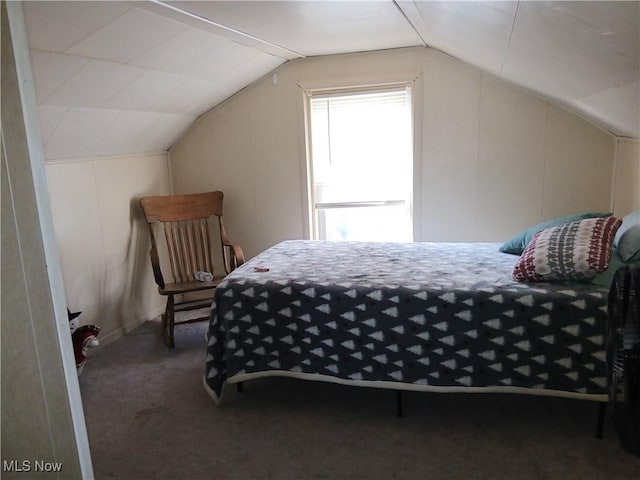 147 SW Saint Clair Ave, New Philadelphia, OH 44663 - carpeted bedroom with lofted ceiling