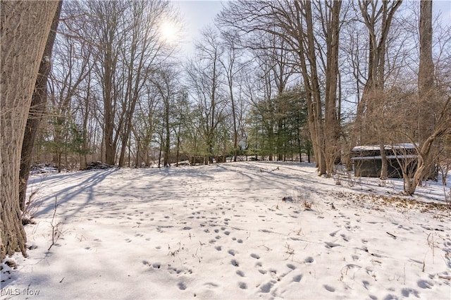 view of yard layered in snow