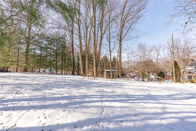 view of snowy yard