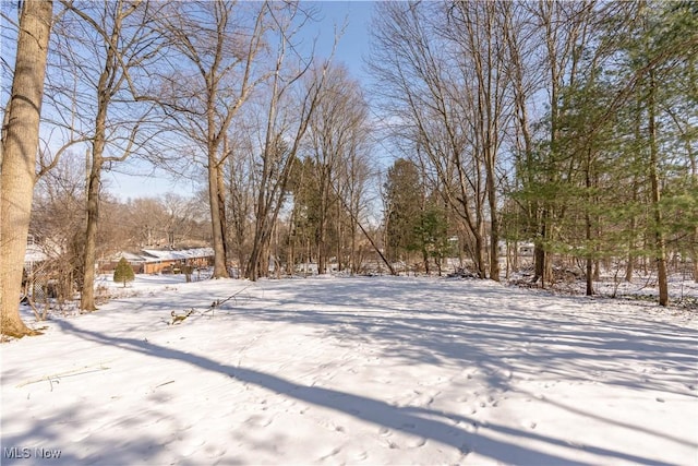 view of yard covered in snow