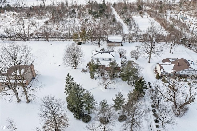 view of snowy aerial view