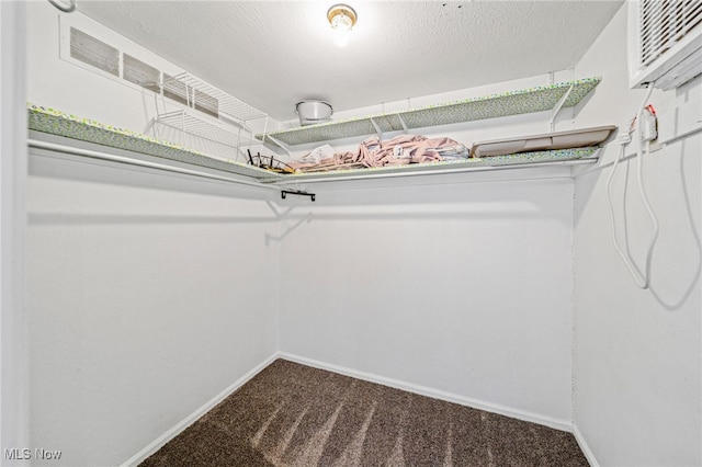 walk in closet featuring carpet flooring