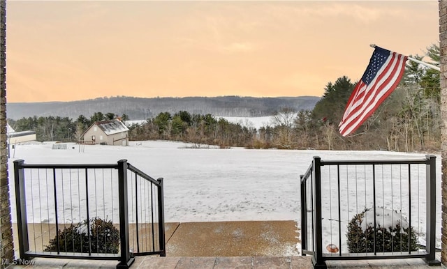 view of yard layered in snow