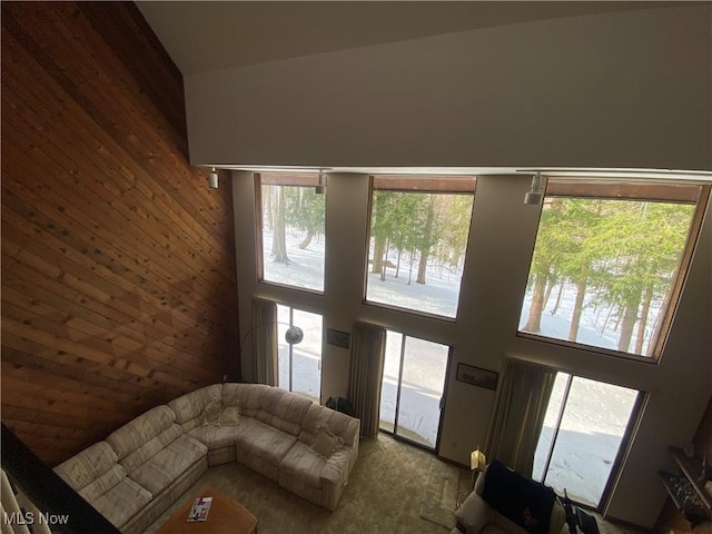 carpeted living area with a water view, wood walls, and a high ceiling