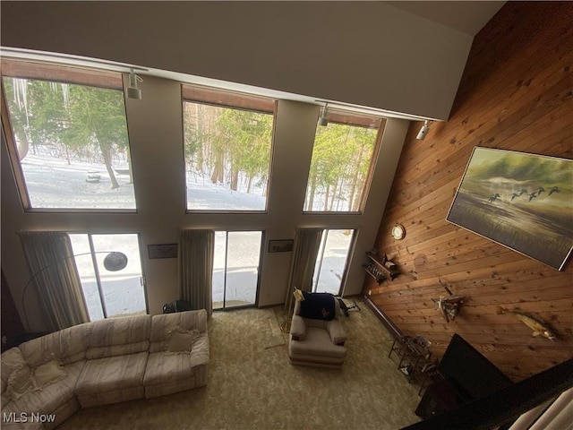 living room featuring a water view, wooden walls, high vaulted ceiling, and carpet flooring