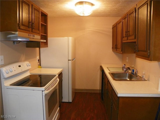 kitchen featuring under cabinet range hood, a sink, electric stove, light countertops, and brown cabinetry