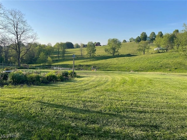 view of yard with a rural view