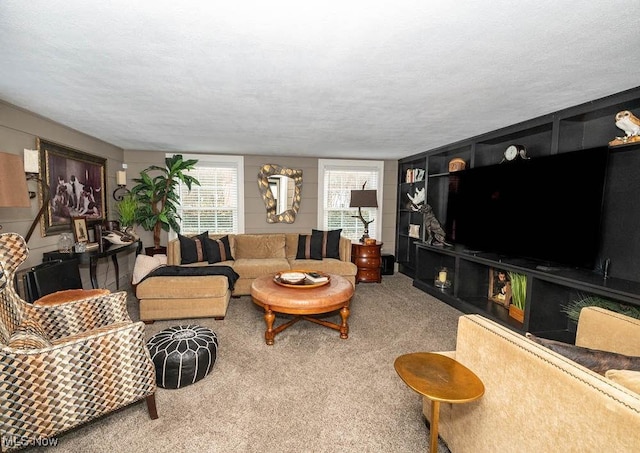 living room with carpet flooring and a textured ceiling