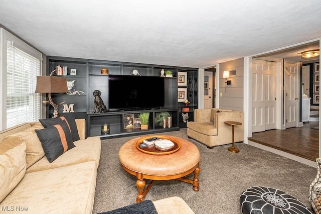 living room featuring carpet floors