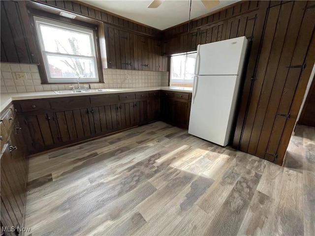 kitchen featuring light wood finished floors, dark brown cabinetry, freestanding refrigerator, light countertops, and a sink