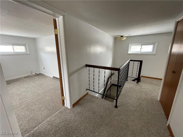 stairs with carpet floors and baseboards