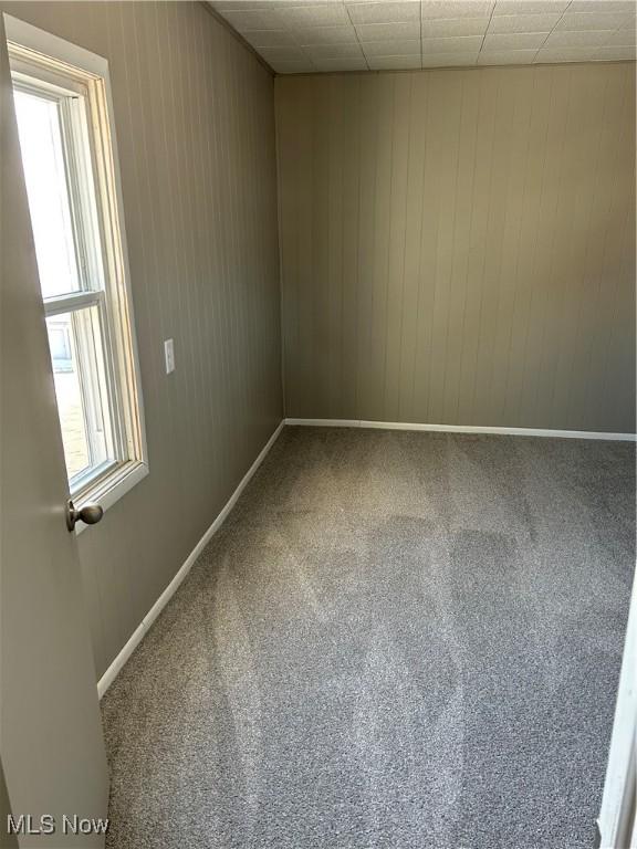 carpeted spare room with a paneled ceiling, wooden walls, baseboards, and a wealth of natural light