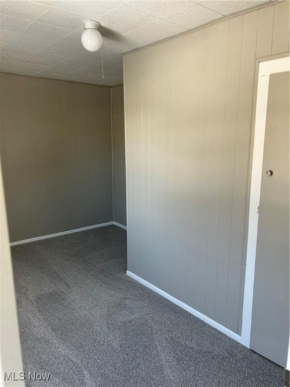 empty room featuring wooden walls and dark colored carpet