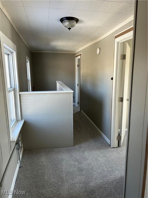 corridor featuring carpet, crown molding, and an upstairs landing