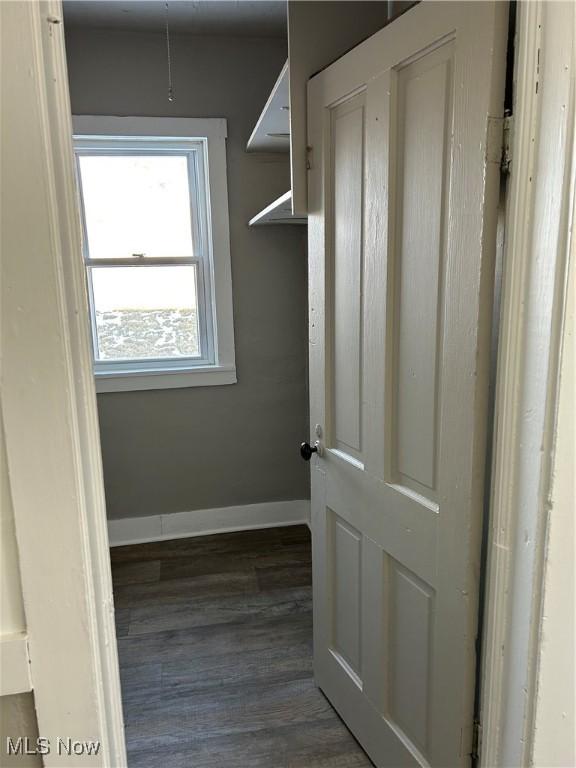 spacious closet with dark wood-style flooring