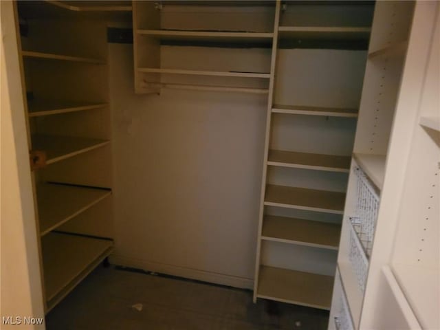 view of closet