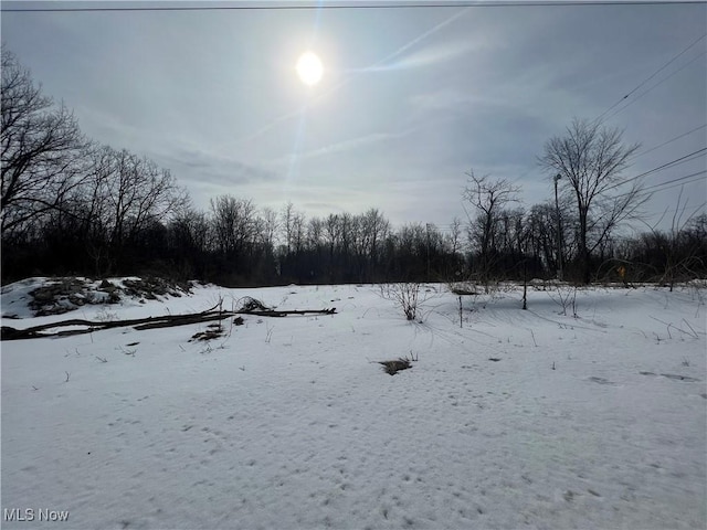 7560 N Ridge Rd, Madison OH, 44057 land for sale