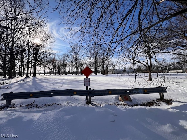 view of yard covered in snow