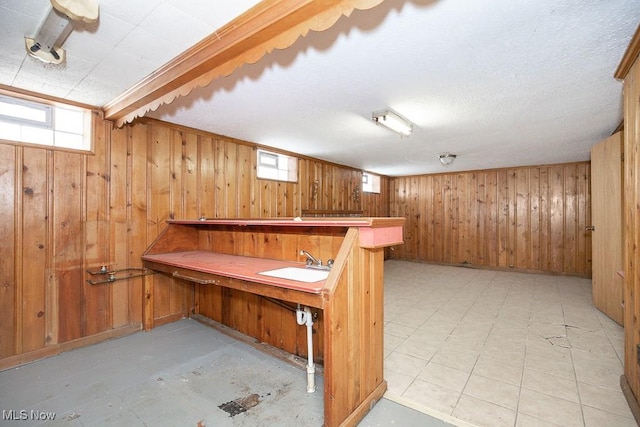 basement with a bar, a sink, and wooden walls