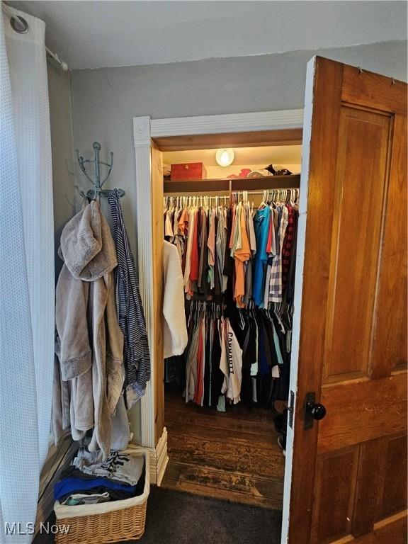 view of closet