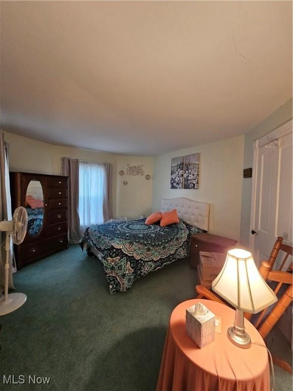 bedroom with carpet flooring