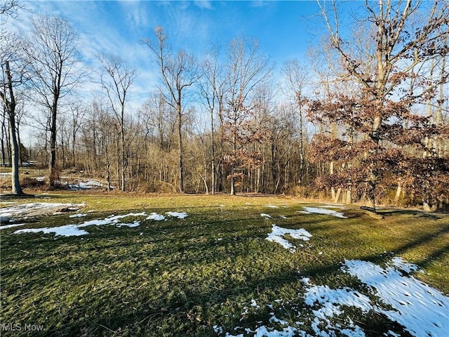 view of yard with a wooded view