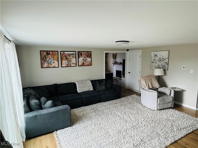 living room featuring wood finished floors and baseboards