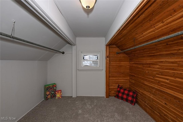 spacious closet featuring lofted ceiling and carpet floors