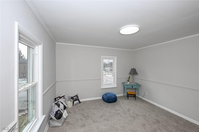 interior space with carpet, baseboards, and crown molding