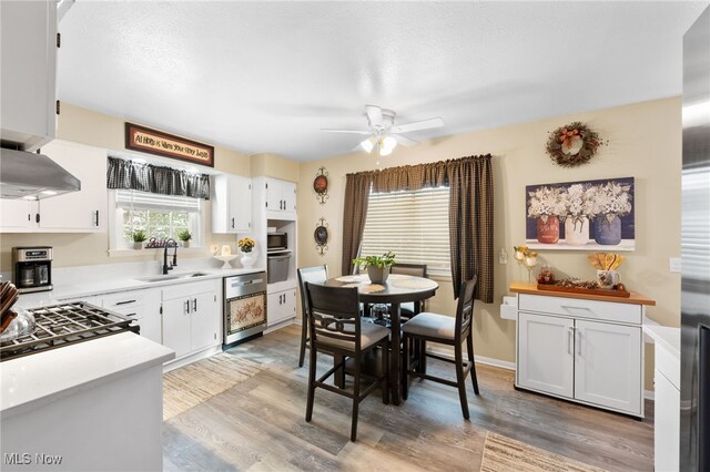 28628 Aspen Dr, North Olmsted, OH 44070 - kitchen with ceiling fan, healthy amount of natural light, and light wood-style floors
