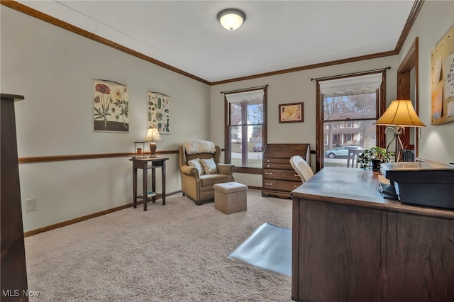 office with carpet flooring, crown molding, and baseboards