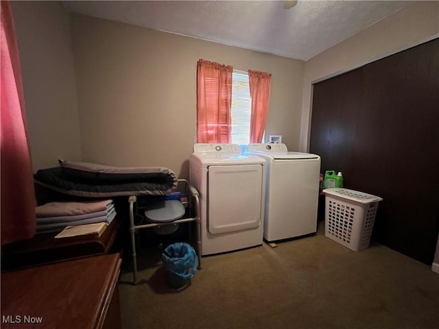 washroom with carpet floors, laundry area, and washer and clothes dryer