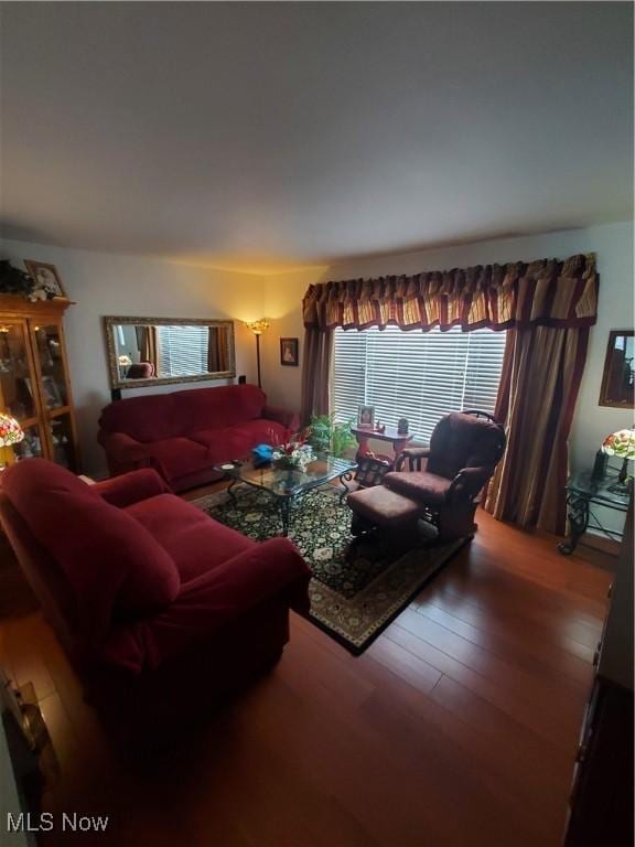 living room featuring wood finished floors