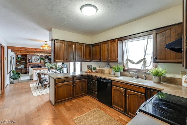 kitchen featuring under cabinet range hood, a peninsula, a sink, black dishwasher, and light countertops