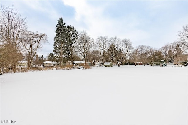 view of yard covered in snow