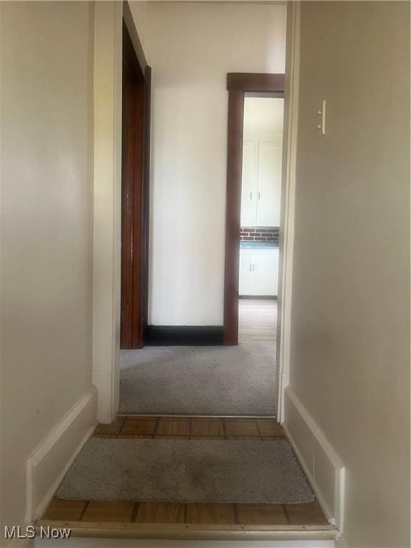 hallway with carpet floors