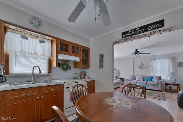 kitchen featuring electric range, a sink, light countertops, brown cabinetry, and glass insert cabinets