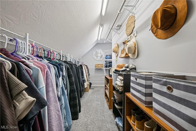 spacious closet featuring lofted ceiling and carpet