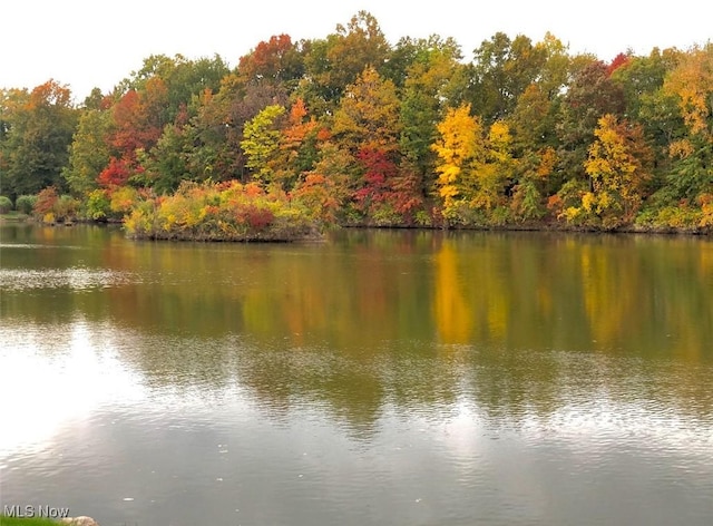 property view of water featuring a view of trees